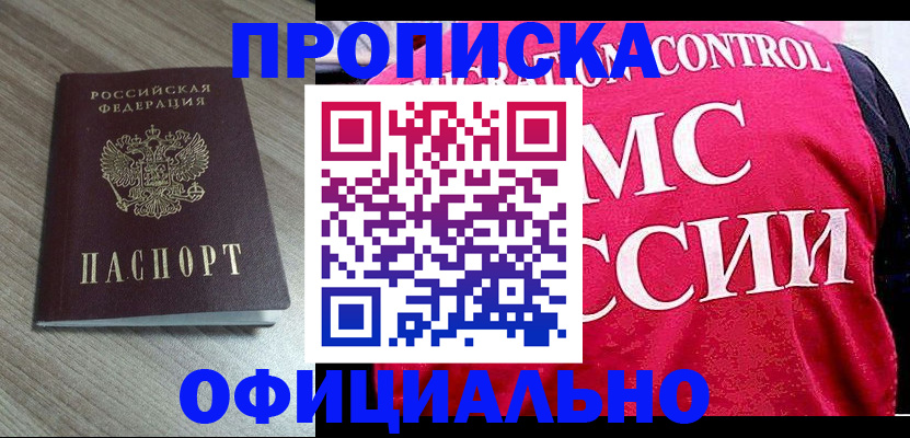 прописка поиск в Тольятти